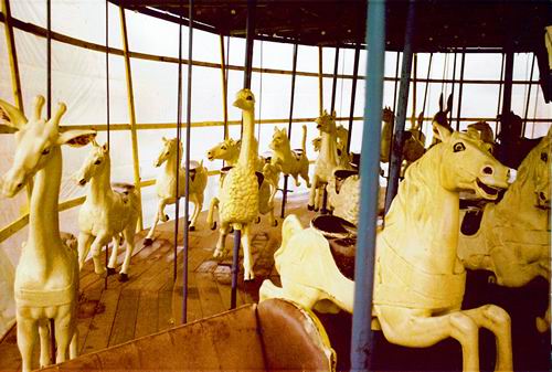 Edgewater Park - Carousel From Roland Summit
